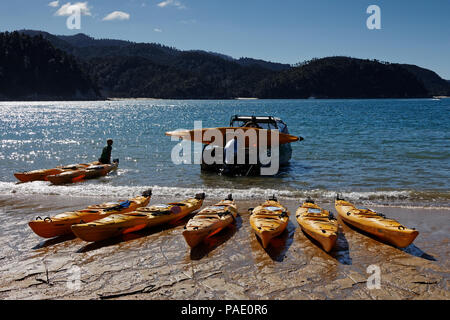 Kayaks de mer sur la plage à Anchorage Bay, parc national Abel Tasman, Nouvelle-Zélande Banque D'Images