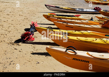 Kayaks de mer sur la plage à Anchorage Bay, parc national Abel Tasman, Nouvelle-Zélande Banque D'Images