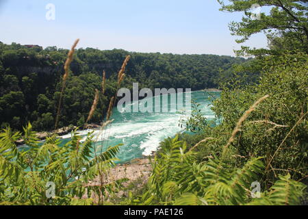 Niagara Falls et surround arae Banque D'Images