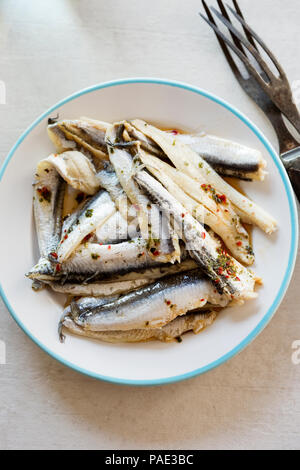 Anchois marinés dans du vinaigre Banque D'Images