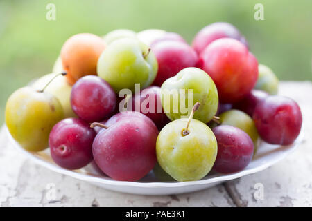 Les abricots, les pommes, mirabelle, prune verte (ume) et les prunes. Les fruits d'été sur l'assiette. Banque D'Images