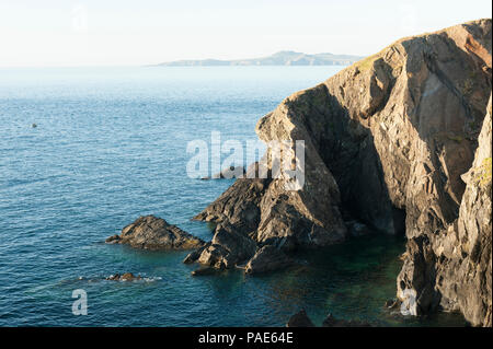 Les falaises le long de la côte du Pembrokeshire, Pays de Galles à Porthgain Banque D'Images