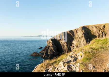 Les falaises le long de la côte du Pembrokeshire, Pays de Galles à Porthgain Banque D'Images