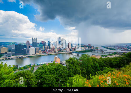 Fleurs et orageuse vue sur la skyline de Pittsburgh, de Mount Washington, Pittsburgh, Pennsylvanie. Banque D'Images