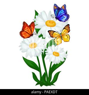 Croquis de l'affiche sur un thème d'été avec la camomille fleurs et papillons colorés isolé sur fond blanc. Cartoon Vector illustration close-up. Illustration de Vecteur
