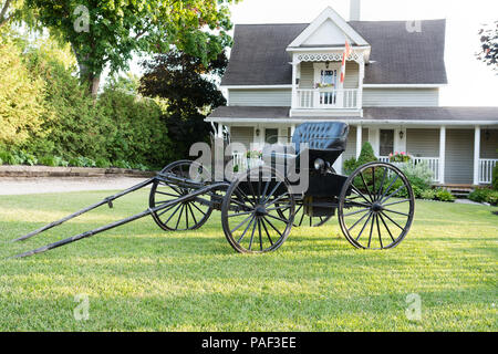 Chariot noir-cheval debout sur une pelouse verte coupée près d'une maison blanche Banque D'Images