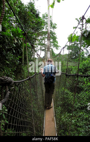 La découverte touristique du niveau supérieur de la forêt tropicale tout en marchant sur des ponts de corde de la Canopy Walkway au parc national de Kakum, au Ghana Banque D'Images