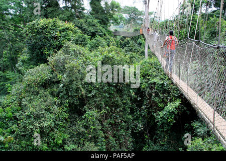 Les touristes explorant le niveau supérieur de la forêt tropicale tout en marchant sur des ponts de corde de la Canopy Walkway au parc national de Kakum, au Ghana Banque D'Images