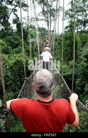 Les touristes explorant le niveau supérieur de la forêt tropicale tout en marchant sur des ponts de corde de la Canopy Walkway au parc national de Kakum, au Ghana Banque D'Images