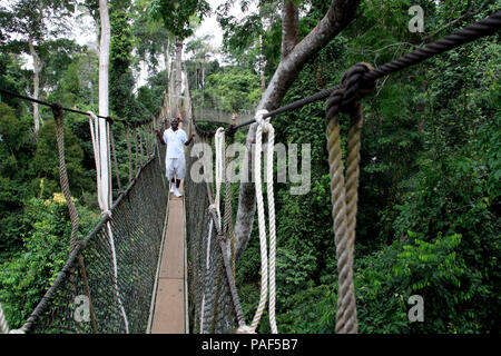 Les touristes et les habitants d'explorer le niveau supérieur de la forêt tropicale tout en marchant sur des ponts de corde de la Canopy Walkway au parc national de Kakum Banque D'Images