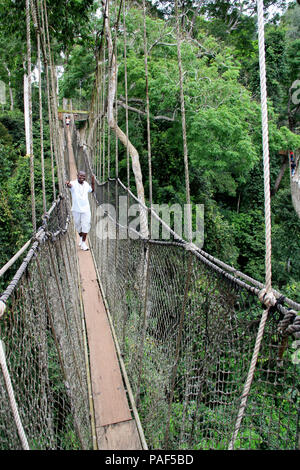 Les gens d'explorer le niveau supérieur de la forêt tropicale tout en marchant sur des ponts de corde de la Canopy Walkway au parc national de Kakum, au Ghana Banque D'Images