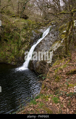 Sur la chute d'Afon Dulyn près de Tal-y-Bont, Conwy, au nord du Pays de Galles, Royaume-Uni. Banque D'Images