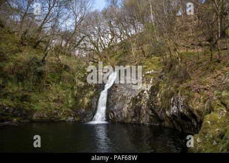 Sur la chute d'Afon Dulyn près de Tal-y-Bont, Conwy, au nord du Pays de Galles, Royaume-Uni. Banque D'Images