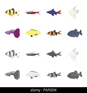Botia, clown, piranha, cichlid, Hummingbird, guppy, poissons set collection icônes de cartoon style monochrome,symbole vecteur illustration stock Illustration de Vecteur
