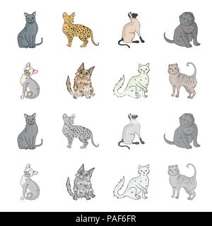 Angora turc, British longhair et d'autres espèces. Les races de chats set collection icônes de cartoon style monochrome,symbole vecteur illustration de stock . Illustration de Vecteur