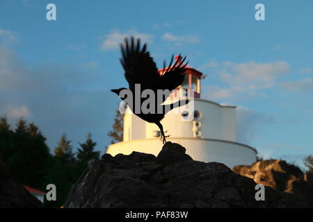 Phare de Amphitrite Point près de Uclulelet, île de Vancouver, British Columbia Canada Banque D'Images