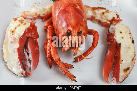 Le homard. Un plat de homard et le persil. Plaque blanche sur table en bois. Vue de côté. Banque D'Images