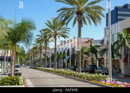 Vue grand angle de boutiques de créateurs et de palmiers sur Rodeo Drive, Beverly Hills, Los Angeles Banque D'Images