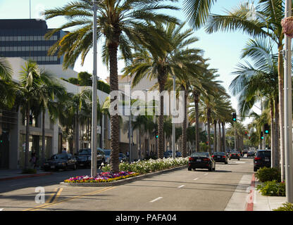 Vue grand angle de boutiques de créateurs et de palmiers sur Rodeo Drive, Beverly Hills, Los Angeles Banque D'Images