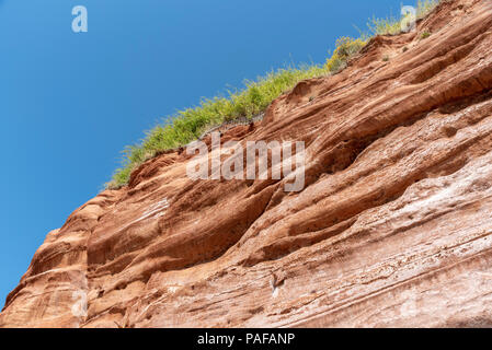 La ville de Sidmouth, Devon, Angleterre, Royaume-Uni. Les falaises rouges du Trias sur la côte de Wessex Banque D'Images