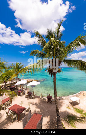 Café sur la côte de la mer des Caraïbes, Punta Cana, La Altagracia, République dominicaine. L'espace de copie pour le texte. La verticale Banque D'Images