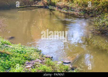 La rivière Zbruch rapide dans la forêt d'automne de la réserve nationale Tovtry Chmielnicki, région, l'Ukraine. Banque D'Images