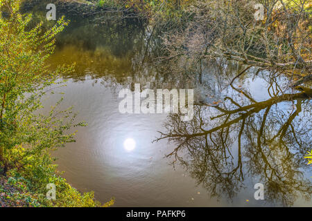 La rivière Zbruch rapide dans la forêt d'automne de la réserve nationale Tovtry Chmielnicki, région, l'Ukraine. Banque D'Images