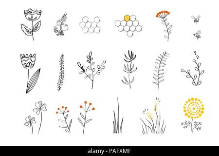 Doodle - cartoon sources de nectar pour les abeilles. Vector hand drawn, style linéaire Illustration de Vecteur