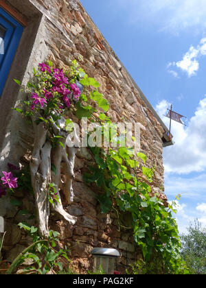 De plus près vue sur la cour et terrasse d'une merveilleuse maison privée près de Magalas dans la région Languedoc-Roussillon, France Banque D'Images