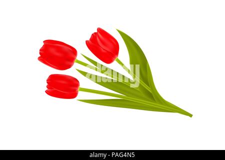 Bouquet de printemps tulipes fleurs isolé sur fond blanc. Vector illustration. Illustration de Vecteur