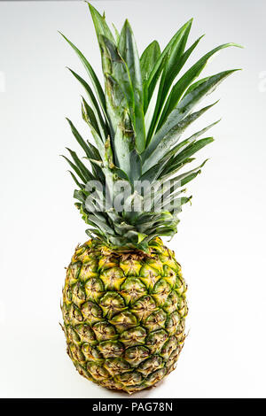 L'ananas sur une table en attendant le chef pour le découper et servir Banque D'Images