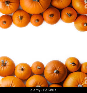 De nombreux châssis citrouilles orange isolé sur fond blanc, la récolte d'automne, l'Halloween ou Thanksgiving concept Banque D'Images