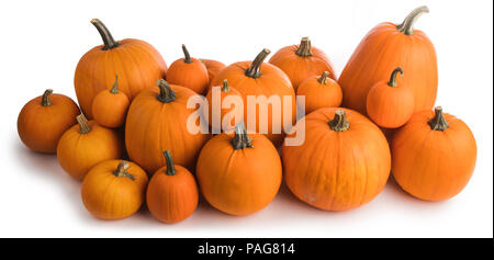 De nombreuses citrouilles orange isolé sur fond blanc, Halloween concept Banque D'Images