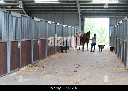 Llanelwedd, Powys, au Royaume-Uni. 22 juillet 2017. Les chevaux sont préparés pour les semaines montrant à la veille de la Royal Welsh Show. Le Royal Welsh Show agricole est salué comme le plus grand et plus prestigieux événement du genre en Europe. Plus de 200 000 visiteurs sont attendus cette semaine au cours de la période de quatre jours. Le tout premier spectacle a été à Aberystwyth en 1904 et a attiré 442 entrées de l'élevage. © Graham M. Lawrence/Alamy Live News. Banque D'Images