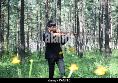 Chengde, Hebei, Chine, 22 juillet 2018. Déménagement la symphonie dans la forêt est une tentative audacieuse, dans l'espoir de donner différentes expériences pour l'auditoire. Les joueurs et spectateurs ont besoin pour surmonter l'interférence de piqûres de moustiques et les arbres forestiers. Costfoto:Crédit/Alamy Live News Banque D'Images