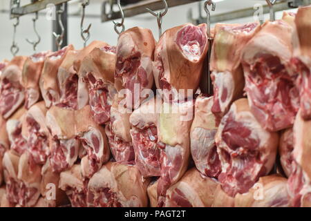 Kostelecke uzeniny, la plus grande entreprise de transformation de la viande tchèque et une unité de groupe Agrofert, soulevées par des ventes de 9  %, pour Kc5.29bn l'année dernière et son bénéfice net a augmenté de 2,5 pour cent à KC80m, l'entreprise a déclaré dans son rapport annuel. Les exportations représentaient quelque 12 pour cent des ventes de l'année dernière. La Slovaquie est la plus importante destination des exportations mais les ventes en Europe de l'Ouest, par exemple le Danemark, les Pays-Bas et la Belgique, aussi bien. 'République tchèque les bovins, en particulier rouge le pâturage du bétail dans les collines, est très appréciée en Europe centrale et du Nord,' le directeur de la société Michal Jedlicka (pas sur th Banque D'Images