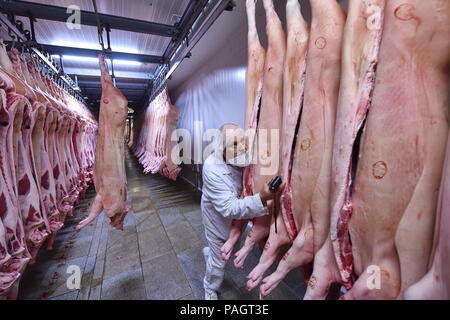 Kostelecke uzeniny, la plus grande entreprise de transformation de la viande tchèque et une unité de groupe Agrofert, soulevées par des ventes de 9  %, pour Kc5.29bn l'année dernière et son bénéfice net a augmenté de 2,5 pour cent à KC80m, l'entreprise a déclaré dans son rapport annuel. Les exportations représentaient quelque 12 pour cent des ventes de l'année dernière. La Slovaquie est la plus importante destination des exportations mais les ventes en Europe de l'Ouest, par exemple le Danemark, les Pays-Bas et la Belgique, aussi bien. 'République tchèque les bovins, en particulier rouge le pâturage du bétail dans les collines, est très appréciée en Europe centrale et du Nord,' le directeur de la société Michal Jedlicka (pas sur th Banque D'Images