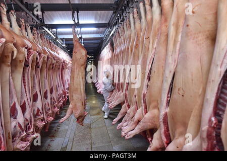 Kostelecke uzeniny, la plus grande entreprise de transformation de la viande tchèque et une unité de groupe Agrofert, soulevées par des ventes de 9  %, pour Kc5.29bn l'année dernière et son bénéfice net a augmenté de 2,5 pour cent à KC80m, l'entreprise a déclaré dans son rapport annuel. Les exportations représentaient quelque 12 pour cent des ventes de l'année dernière. La Slovaquie est la plus importante destination des exportations mais les ventes en Europe de l'Ouest, par exemple le Danemark, les Pays-Bas et la Belgique, aussi bien. 'République tchèque les bovins, en particulier rouge le pâturage du bétail dans les collines, est très appréciée en Europe centrale et du Nord,' le directeur de la société Michal Jedlicka (pas sur th Banque D'Images