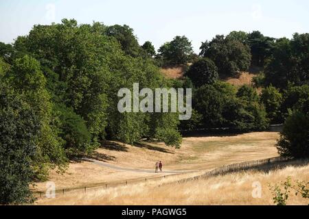 23 juillet 2018 Londres : sec herbe jaune desséchée dans le parc de Greenwich comme tempertures devraient atteindre 31c aujourd'hui et hauts de 35c en milieu de semaine. Crédit photo : Claire Doherty/Alamy Live News Banque D'Images