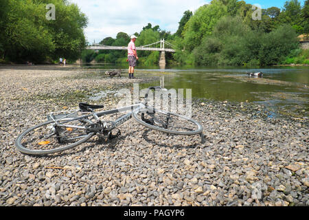 Rivière Wye, Hereford, Herefordshire, UK - Royaume-Uni - Lundi 23 juillet 2018 - Homme promène son chien tandis que d'autres coupé le long d'un rivage exposé de la rivière Wye comme il passe sous le pont Victoria pour piétons à Hereford. L'Agence de l'environnement d'aujourd'hui enregistré sur le niveau de la rivière Wye dans Hereford comme juste 9cm qui est bien au-dessous de la gamme typique de l'été. Photo Steven Mai / Alamy Live News Banque D'Images