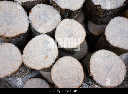 Pile de bois de close-up sous la neige Banque D'Images