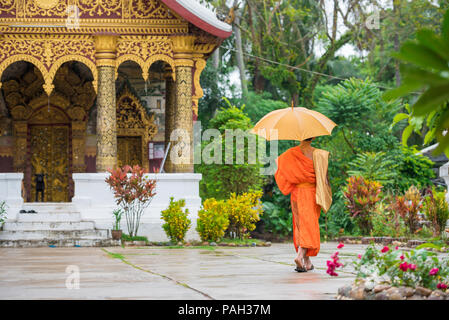 Moine avec un parapluie sur une rue de ville, Louangphabang, Laos. L'espace de copie pour le texte Banque D'Images