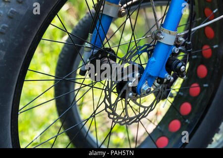 Fatbike, roue arriere Banque D'Images