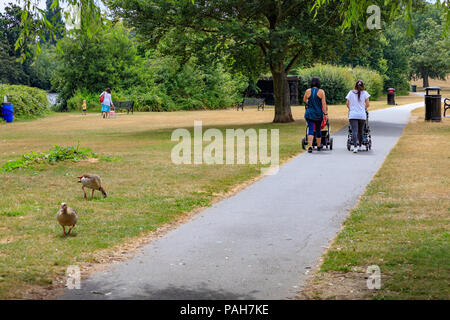 Les mères et une Grandmothe à pied les enfants de l'école maternelle par une chaude journée d'été à Danson Park, Bexleyheath, London, UK Banque D'Images