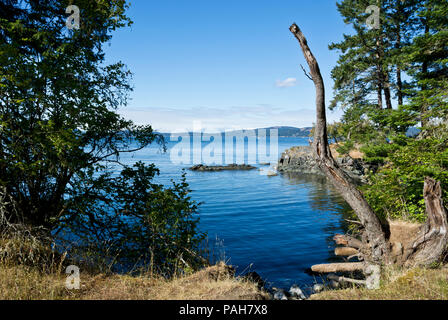 Salt Spring Island, British Columbia, Canada. Vue sur l'eau du parc provincial Ruckle. Banque D'Images