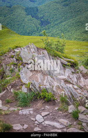 Roches sur le chemin à Wetlina Prairies dans l'ouest de Bieszczady en Pologne Banque D'Images