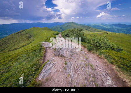 Chemin sur Wetlina Prairies dans l'ouest de Bieszczady en Pologne, avec vue sur le mont Smerek background Banque D'Images