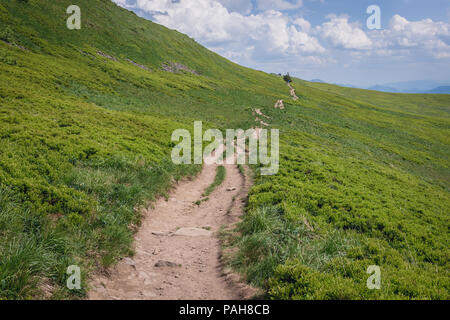 Osadzki chemin près de Wierch monter sur le Wetlina Prairies dans l'ouest de Bieszczady en Pologne Banque D'Images