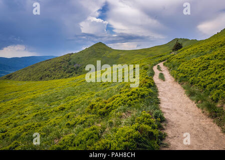 Sur le chemin d'Alpage Wetlina dans l'ouest de Bieszczady en Pologne, vue avec Osadzki Wierch Mont on background Banque D'Images