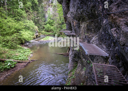 Étapes de fer et les chaînes sur le sentier de randonnée appelé Prielom Hornadu, le long de la rivière Hornad canyon dans le parc national du Paradis slovaque, Slovaquie Banque D'Images